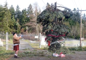 Will MacAuliff of Marrowstone Island pauses to take a picture of the inverted “Christmas tree