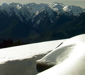 A view from the Hurricane Ridge webcam on the Olympic National Park website at http://www.nps.gov/olym/photosmultimedia/hurricane-ridge-webcam.htm.