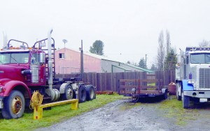 A hole in the fence around the Olympic Animal Sanctuary was used to load dogs from the shelter into a waiting truck. — Christi Baron for the Peninsula Daily News
