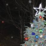 Hundreds gather for tree lighting, Santa visit in Port Townsend