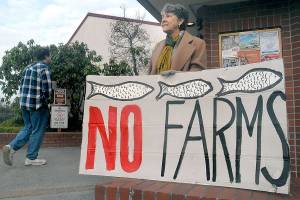 Net pens, climate dominate as Clallam commissioners take testimony on draft shoreline plan