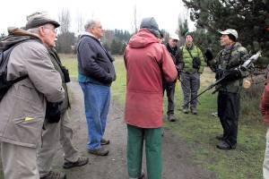 Christmas Bird Counts begin on Olympic Peninsula