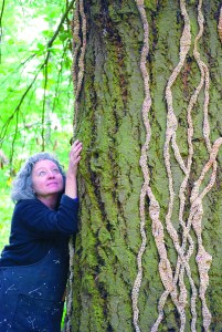 Shelton artist — and avowed tree hugger — Barbara De Pirro finished her artwork