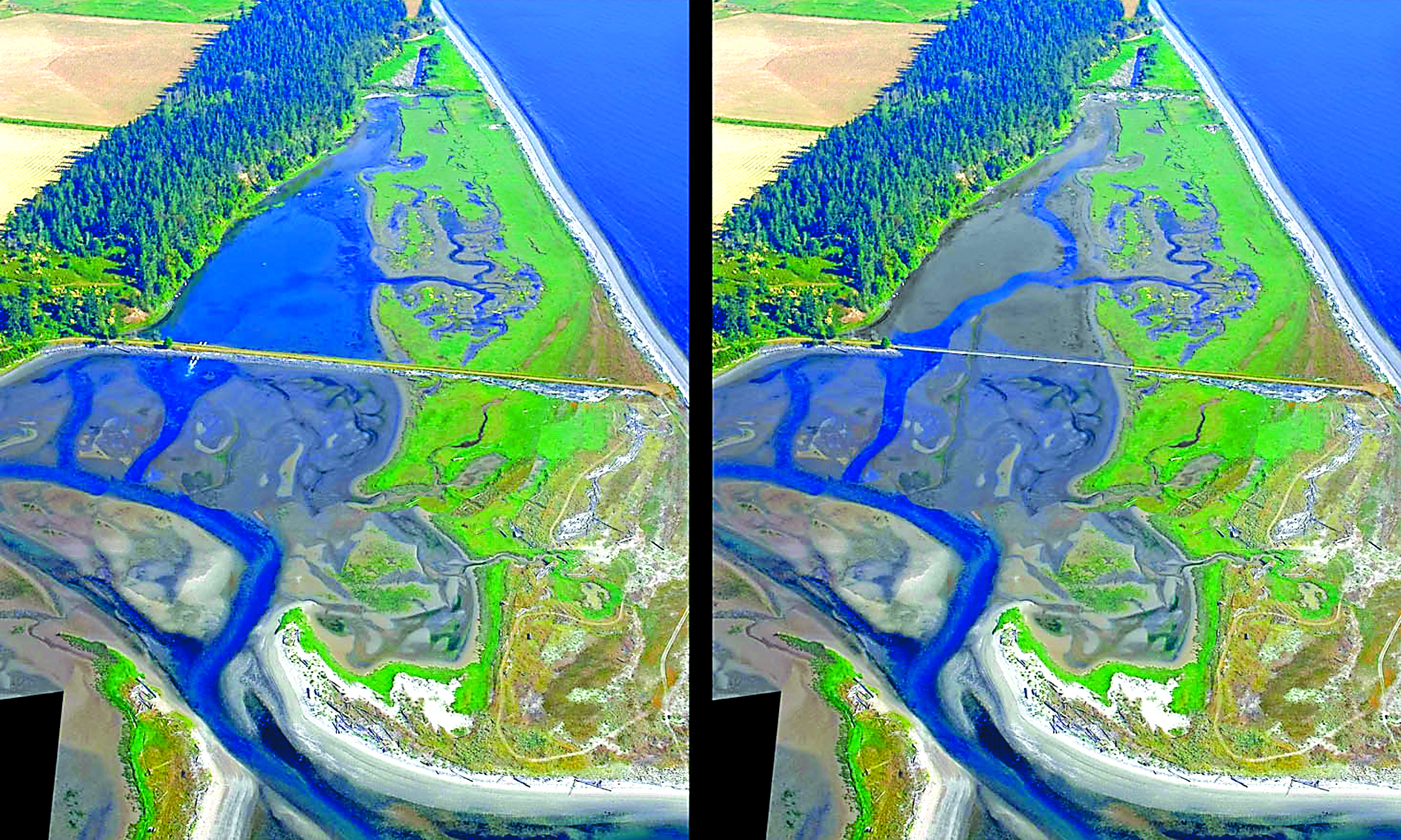 An artists rendering