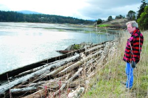 Washington Harbor property owner Mark Burrowes looks at driftwood that has lodged up against the causeway that crosses the lagoon  which is only drained by two 6-foot culverts