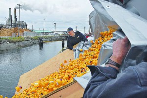 Rick Smitch watches as thousands of rubber ducks are dumped out of a truck