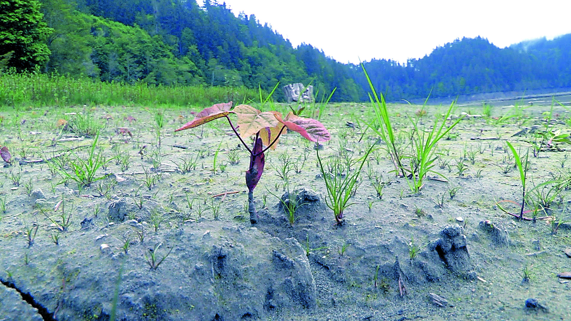 In this photo by John Gussman