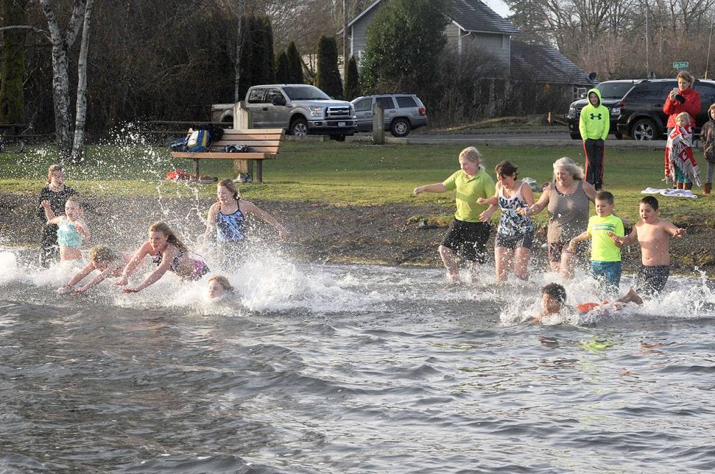 More than a dozen people entered the chilly waters of Lake Pleasant on Monday morning for the polar bear plunge. (Lonnie Archibald/for Peninsula Daily News)