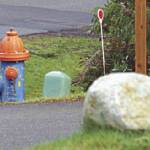 Flow testing to lead to color change of Kala Point hydrants; colors provide information for firefighters