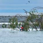 Firefighter-Paramedic Kjel Skov of Clallam County Fire District 3 searches near the mouth of the Elwha River on Monday afternoon. (Jay Cline/Clallam County Fire District No. 2)