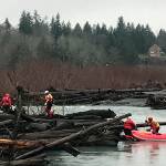 A search-and-rescue crew clamber over an Elwha River logjam Monday morning, looking for a Sequim woman whose husband reported her missing Sunday evening. (Paul Gottlieb/Peninsula Daily News)