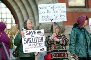 Draft plan reviewed for proposed Brinnon resort