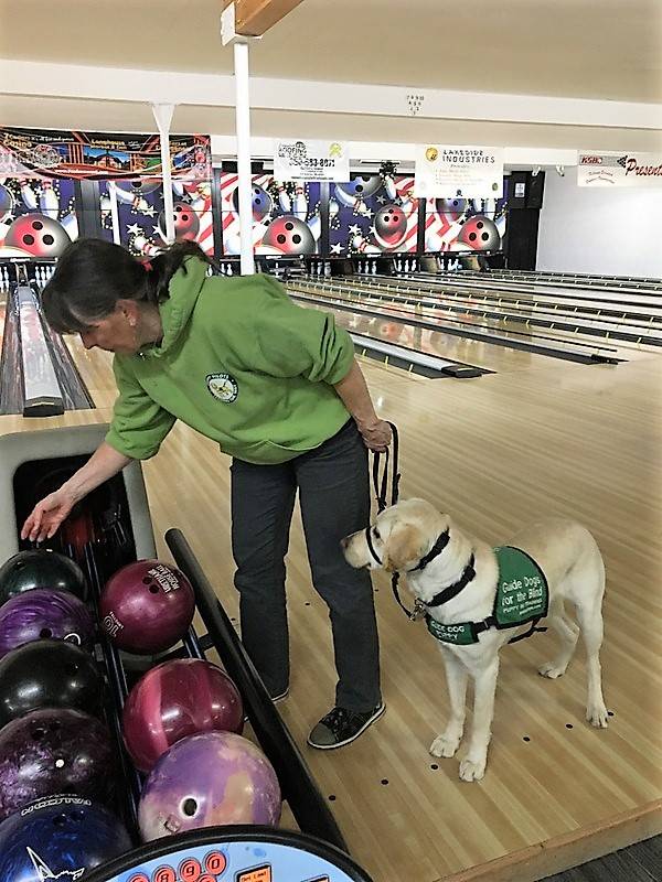 Raisers with Puppy Pilots take dogs any and everywhere, says Deb Cox, a charter member for the local Guide Dogs for the Blind program. Here she takes Siesta recently to Laurel Lanes in Port Angeles. (Puppy Pilots)