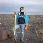 Volunteers set out native plants on new beach