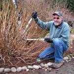 Master Gardener Keith Dekker presents Pruning Year Round on Thursday in Port Angeles, part of the Clallam County Master Gardener Green Thumb Garden Tips educational series.
