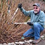 Master Gardener to talk proper pruning