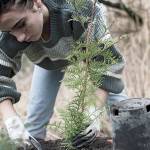 Thousands more trees planted on Tarboo Creek during Plant-A-Thon