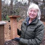 Mason bees are topic at next Green Thumb series presentation