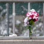 Lawmakers seek funding for Port Angeles suicide barriers