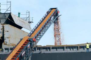 ON THE WATERFRONT: Wood chips expressed from Port Angeles to China