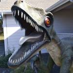This model of a velociraptor stands on a weather vane that its owner, Tom Runyan, crafted for it to rotate on in front of their home in Dungeness Heights, north of Sequim. (Matthew Nash/Olympic Peninsula News Group)