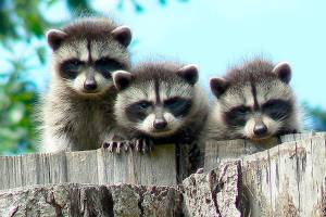 Tidepools Magazine announces winners of 2018 contest