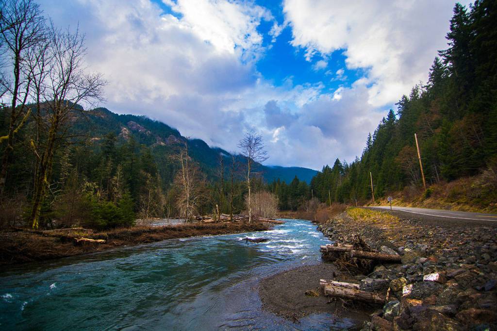 The Elwha River runs alongside Olympic Hot Springs Road, near where the river has washed out the road several times in recent years. (Jesse Major/Peninsula Daily News)