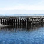 Start date decided for Port Townsend jetty project; businesses offer donations