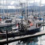 Second developer inquires about John Wayne Marina