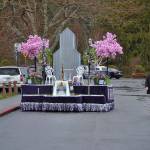 This years Sequim Irrigation Festivals royalty float features scale versions of the local grain elevator and Sequim welcome sign along with blossoming cherry trees with 8,000 individually made flowers for each tree. It will first drive in the Daffodil Parade on April 7 followed by the Sequim Irrigation Festivals Grand Parade on May 12. (Matthew Nash/Olympic Peninsula News Group)