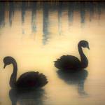 Black Magic is one of the paintings by Ann Arscott that will be on exhibit at Gallery 9.