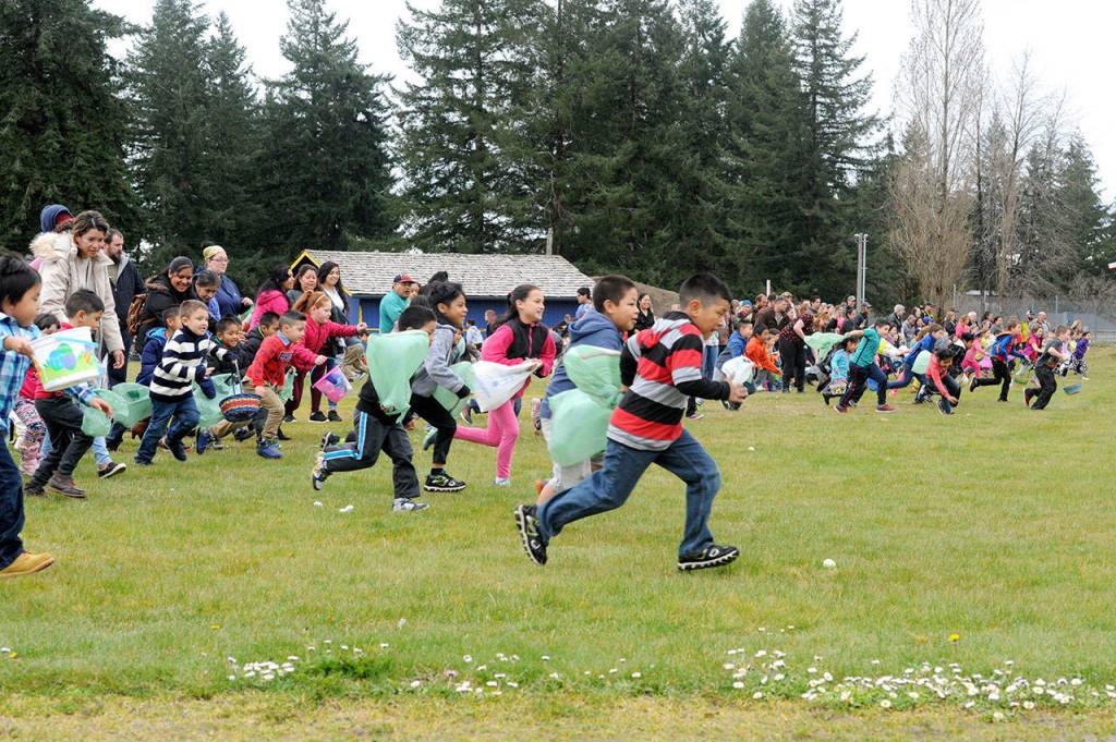 Children ages 4 to 8 were off and running Saturday at Tillicum Park in Forks where three groups totaling about 200 youngsters searched for approximately 1,500 eggs plus another 400 plastic eggs, some with prizes. Four bicycles along with numerous prizes were given out. Sullys Drive In, Forks Outfitters and the Forks Elks Lodge were the major contributors. Forks High School seniors Kayden Paul and Jennifer Farias also were involved as it was their senior project. (Lonnie Archibald/for Peninsula Daily News)