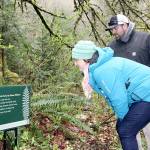 Trails garnished with poetry