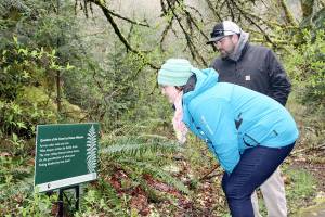 Trails garnished with poetry