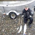 Washington Department of Fish and Wildlife Police Officer Bryan Davidson displays two wild steelhead and an undersized cutthroat trout along with the rods used to poach the fish after a January incident on the Quillayute River near Forks. (Washington Department of Fish and Wildlife Police)