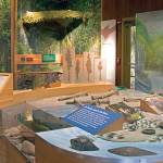 New exhibits added to Hoh Rain Forest Visitor Center