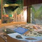 New exhibits will be unveiled Friday at the Hoh Rain Forest Visitor Center.