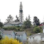 Dungeness Heights group files another lawsuit against radio tower