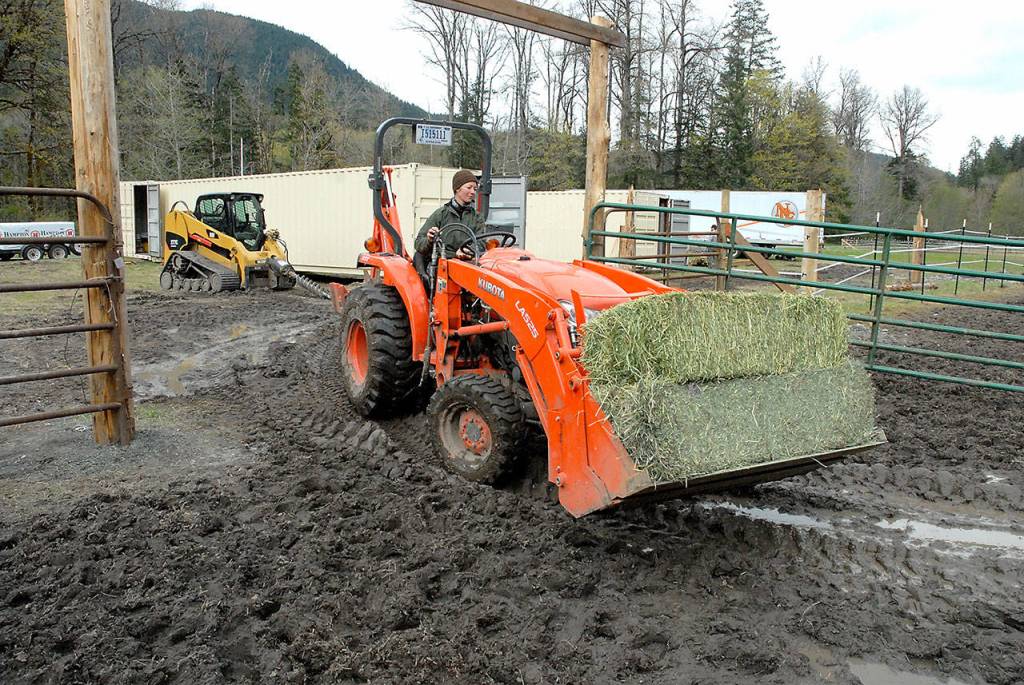 Animal caretaker Heidi Brill uses a tractor to deliver bales of hay to mules in Sweets Field. (Keith Thorpe/Peninsula Daily News)