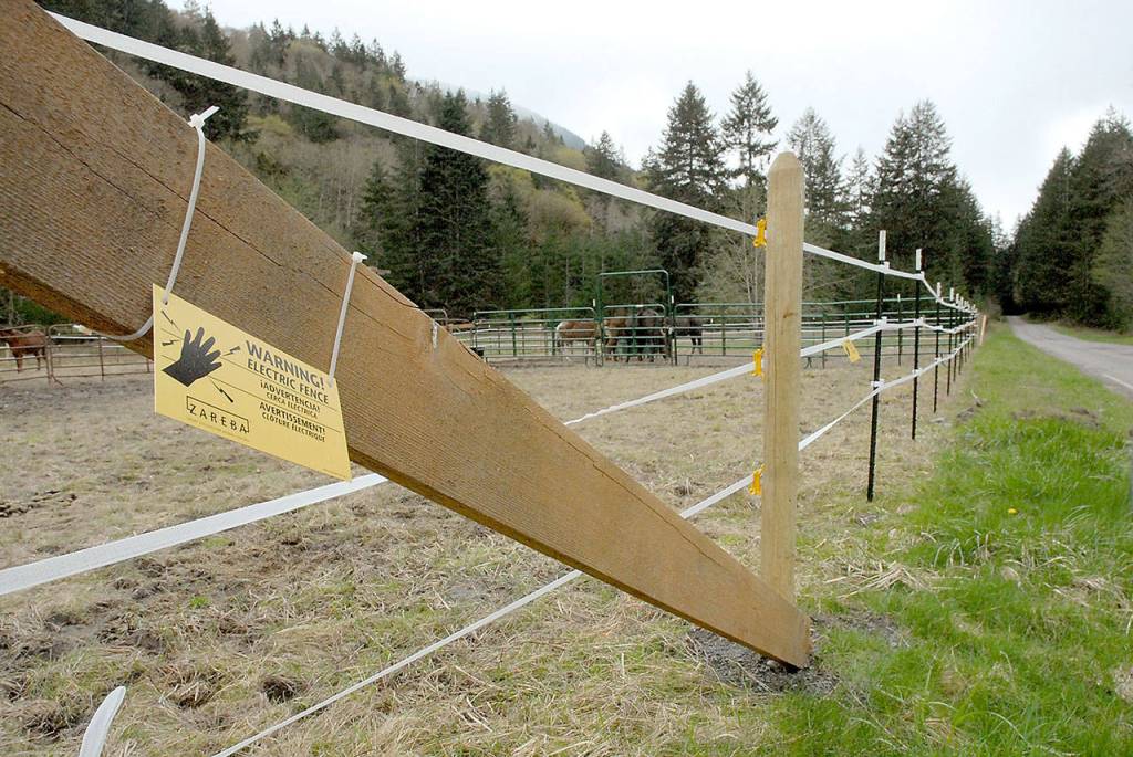 Signs warn of electrified fences surrounding temporary mule corrals along Olympic Hot Springs Road in the Elwha Valley of Olympic National Park. (Keith Thorpe/Peninsula Daily News)