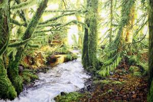 Paintings, woodworking, glass, jewelry on Port Townsend Gallery Walk