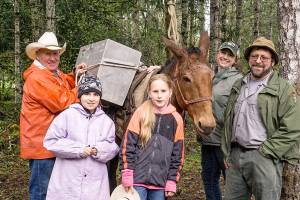 HORSEPLAY: Remember to provide fresh drinking water for horses