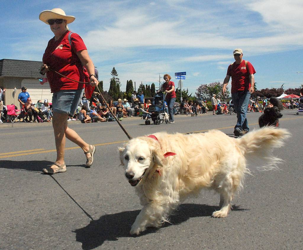 Susan Slate of Sequim walks with her dog, Scout, with other members of WAG, the Welfare for Animals Guild. (Keith Thorpe/Peninsula Daily News)