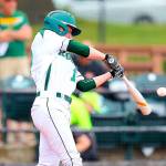PREP BASEBALL: Roughriders done at state tournament