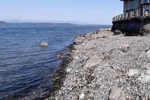 Lawsuit says Army Corps failing to protect marine habitat