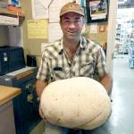 Doyle Yancy almost mowed down a very large mushroom while cutting a field in Beaver Valley.