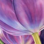 Sandy Haights flowers will be on view at the Northwinds Art Center during the Port Townsend Gallery Walk on Saturday.