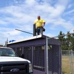 Josh Henning, a maintenance worker with the city, reroofs a dugout at the James Standard Little League Park on Tuesday. Volunteers later came and painted the dugouts, too, as part of Sequim Service Fest. Matthew Nash/Olympic Peninsula News Group
