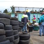 Sequim Service Fest runs weekdays through June 15