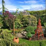 Kelly Conrads garden.